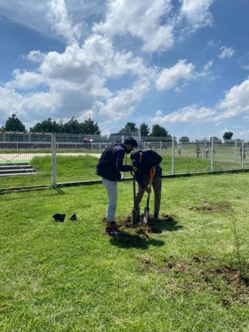 Reforesta UPTx áreas verdes del campus universitario imagen 3