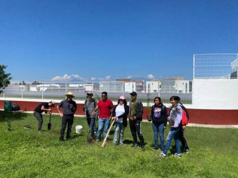 Reforesta UPTx áreas verdes del campus universitario imagen 1