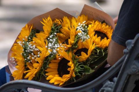 Hoy se regalan flores amarillas imagen 6