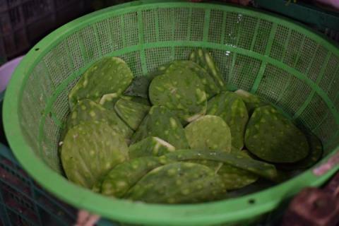 Los primeros días de octubre, se conmemora la Semana vegetariana imagen 3