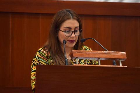 Por unanimidad aprueba el Congreso del Estado Ley de Salud Mental y Comportamiento Adictivo imagen 1