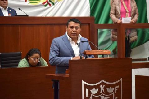 Por unanimidad aprueba el Congreso del Estado Ley de Salud Mental y Comportamiento Adictivo imagen 3