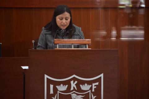Por unanimidad aprueba el Congreso del Estado Ley de Salud Mental y Comportamiento Adictivo imagen 4