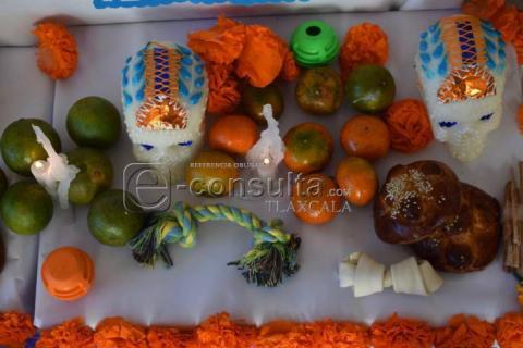 Colocan ofrenda dedicada a las mascotas que han fallecido imagen 1
