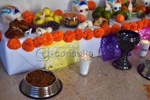 Colocan ofrenda dedicada a las mascotas que han fallecido imagen 2
