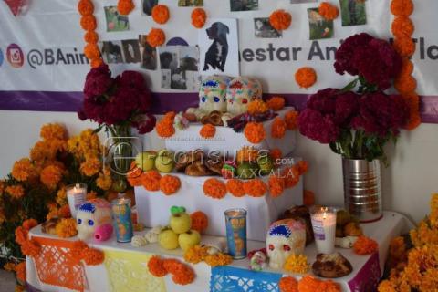 Colocan ofrenda dedicada a las mascotas que han fallecido imagen 3