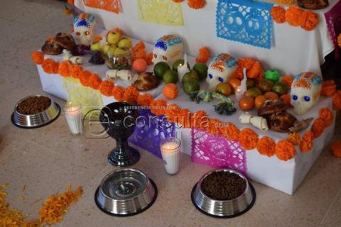Colocan ofrenda dedicada a las mascotas que han fallecido imagen 4