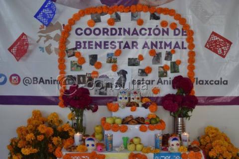 Colocan ofrenda dedicada a las mascotas que han fallecido imagen 5