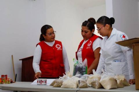 Cruz Roja Mexicana suma esfuerzos para ayudar a afectados por OTIS imagen 4