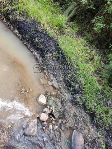 Ecocidio en Ixtacuixtla y autoridades brillan por su ausencia imagen 2