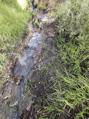 Ecocidio en Ixtacuixtla y autoridades brillan por su ausencia imagen 7