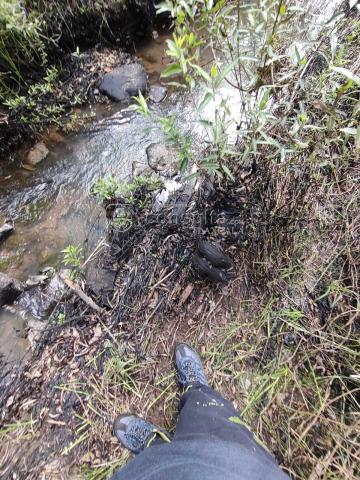 Ecocidio en Ixtacuixtla y autoridades brillan por su ausencia imagen 10