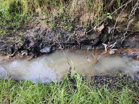 Ecocidio en Ixtacuixtla y autoridades brillan por su ausencia imagen 13
