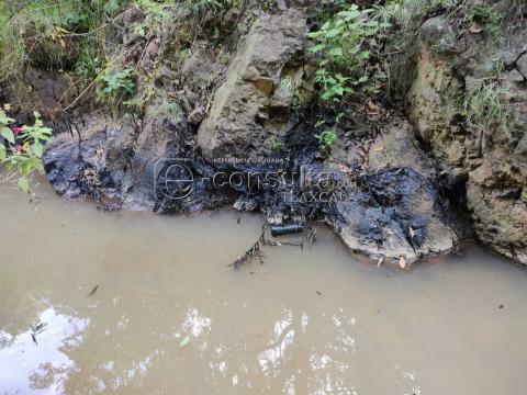 Ecocidio en Ixtacuixtla y autoridades brillan por su ausencia imagen 16