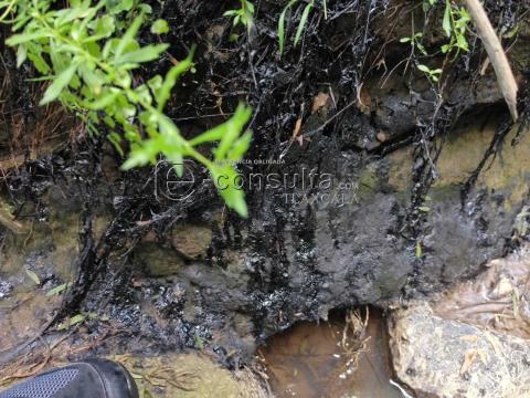 Ecocidio en Ixtacuixtla y autoridades brillan por su ausencia imagen 18