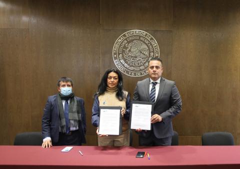 Firman acuerdo para evitar que personas con suspensión de derechos accedan a cargos de elección imagen 2