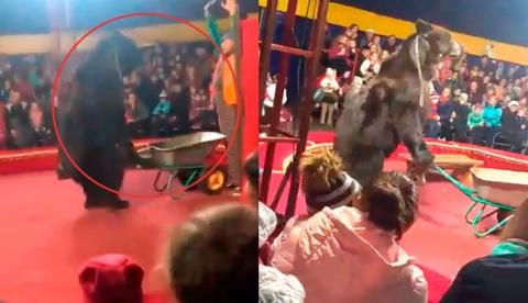 Audiencia de un circo quedan en estado de shock al ver como un oso ataca a su entrenador