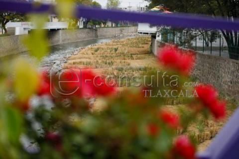 Avanzan trabajos de jardinería dentro del río Zahuapan imagen 2