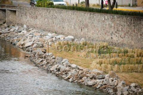 Avanzan trabajos de jardinería dentro del río Zahuapan imagen 4