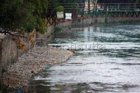 Avanzan trabajos de jardinería dentro del río Zahuapan imagen 5