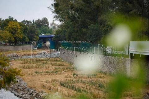 Avanzan trabajos de jardinería dentro del río Zahuapan imagen 7