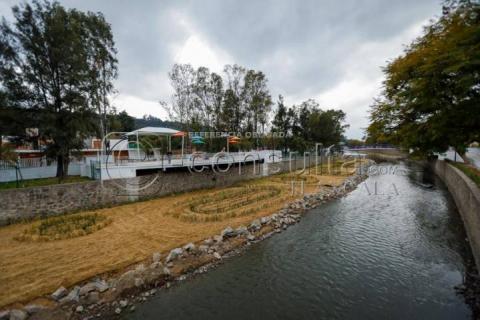 Avanzan trabajos de jardinería dentro del río Zahuapan imagen 8