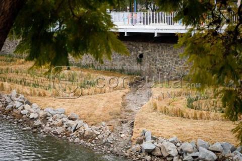 Avanzan trabajos de jardinería dentro del río Zahuapan imagen 9
