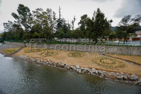 Avanzan trabajos de jardinería dentro del río Zahuapan imagen 12