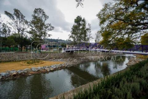 Avanzan trabajos de jardinería dentro del río Zahuapan imagen 13