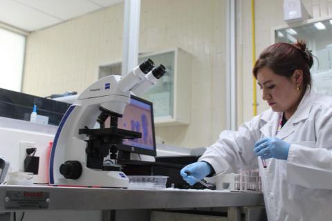 Benefició Hospital IMSS-Bienestar con 46 mil 687 consultas de especialidad imagen 1