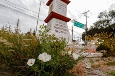 En total abandono el obelisco de los egresados del IPN en Tlaxcala imagen 1