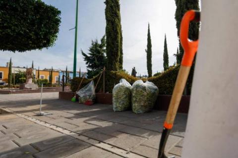 Personal del Congreso realiza trabajos de mantenimiento en calles aledañas imagen 4