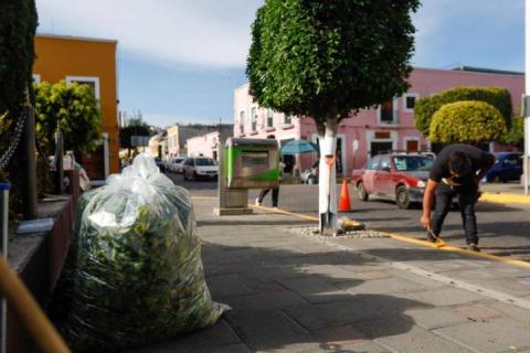 Personal del Congreso realiza trabajos de mantenimiento en calles aledañas imagen 6