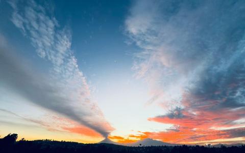 Cenizo atardecer imagen 1
