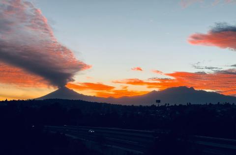 Cenizo atardecer imagen 2