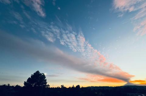 Cenizo atardecer imagen 3