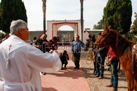 En procesión sacan a animales para recibir bendición imagen 2
