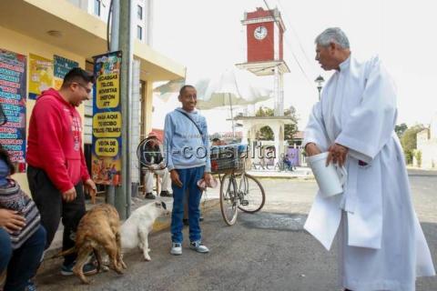 En procesión sacan a animales para recibir bendición imagen 3