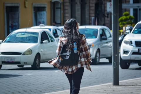 Vientos del sur azotan la capital estatal imagen 1
