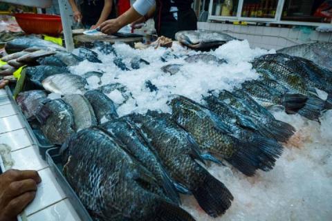 Alza de precios de mariscos en inicio de Cuaresma imagen 7