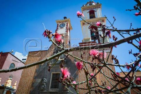 Sábado de fe en San Michel del Milagro imagen 4