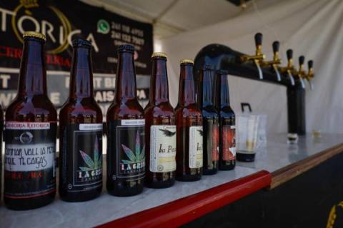 Realizan 5º festival de la cerveza artesanal “Chelatlax” imagen 2