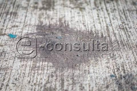 Continúa intensa caída de ceniza en el municipio de Tlaxcala imagen 5