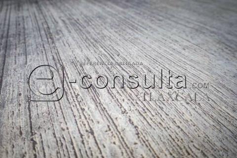 Continúa intensa caída de ceniza en el municipio de Tlaxcala imagen 8