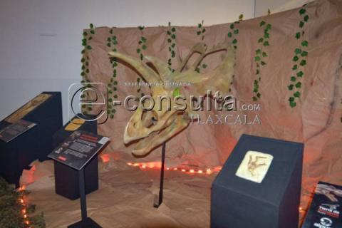 Descubre el pasado en el Museo Intinerante "Tierra de Dinosaurios" imagen 2