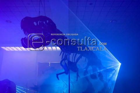 Descubre el pasado en el Museo Intinerante "Tierra de Dinosaurios" imagen 1