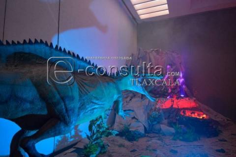 Descubre el pasado en el Museo Intinerante "Tierra de Dinosaurios" imagen 5