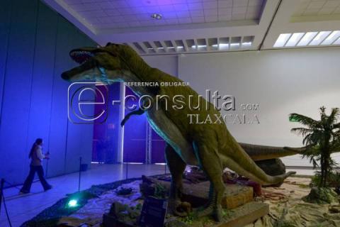 Descubre el pasado en el Museo Intinerante "Tierra de Dinosaurios" imagen 6