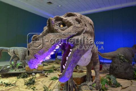 Descubre el pasado en el Museo Intinerante "Tierra de Dinosaurios" imagen 8