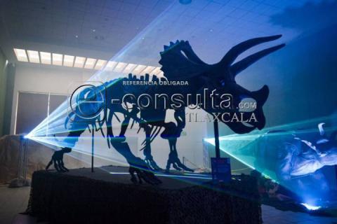 Descubre el pasado en el Museo Intinerante "Tierra de Dinosaurios" imagen 11